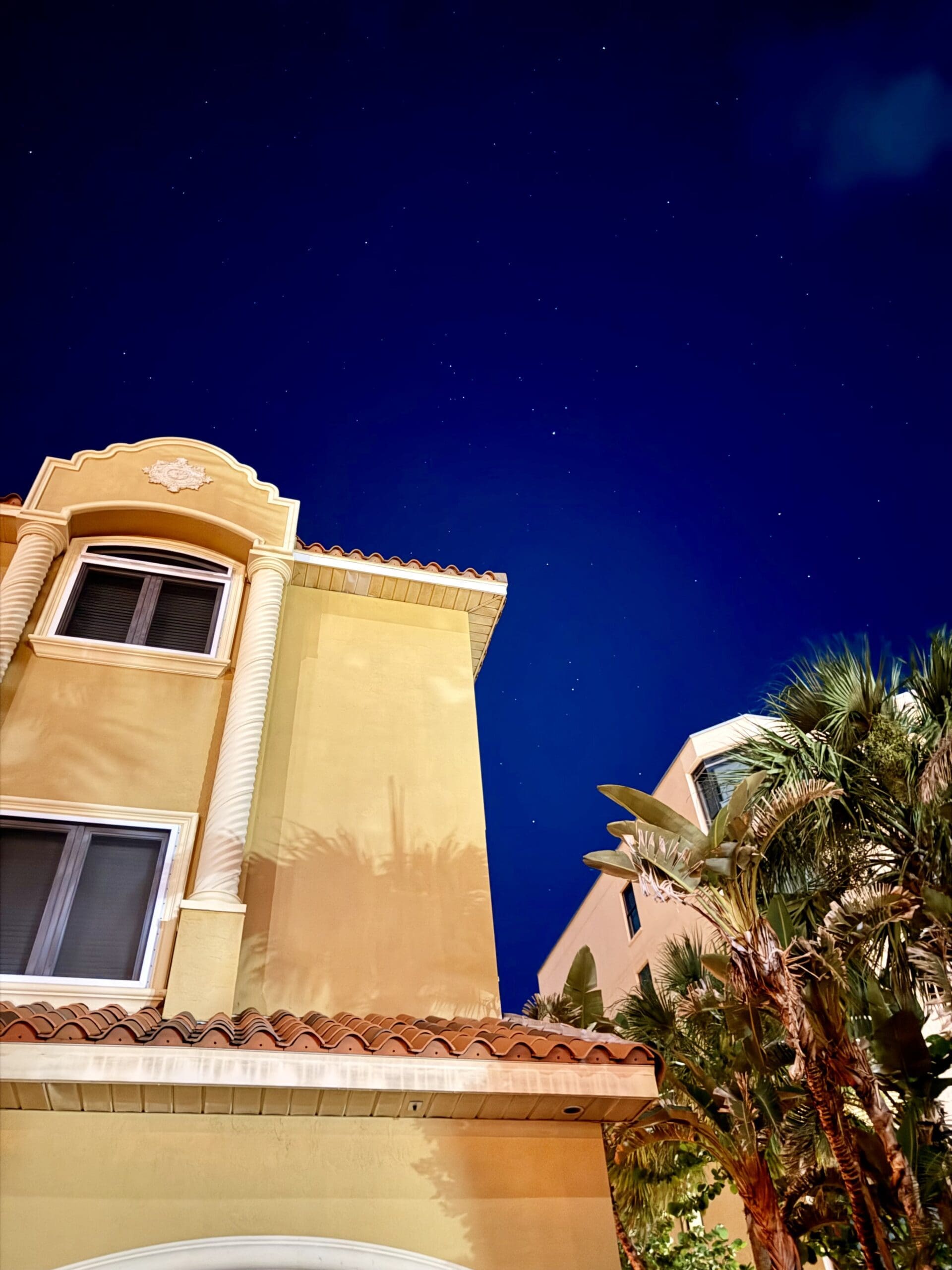 Night view of a luxury beachfront vacation home surrounded by palm trees in Indian Rocks Beach.