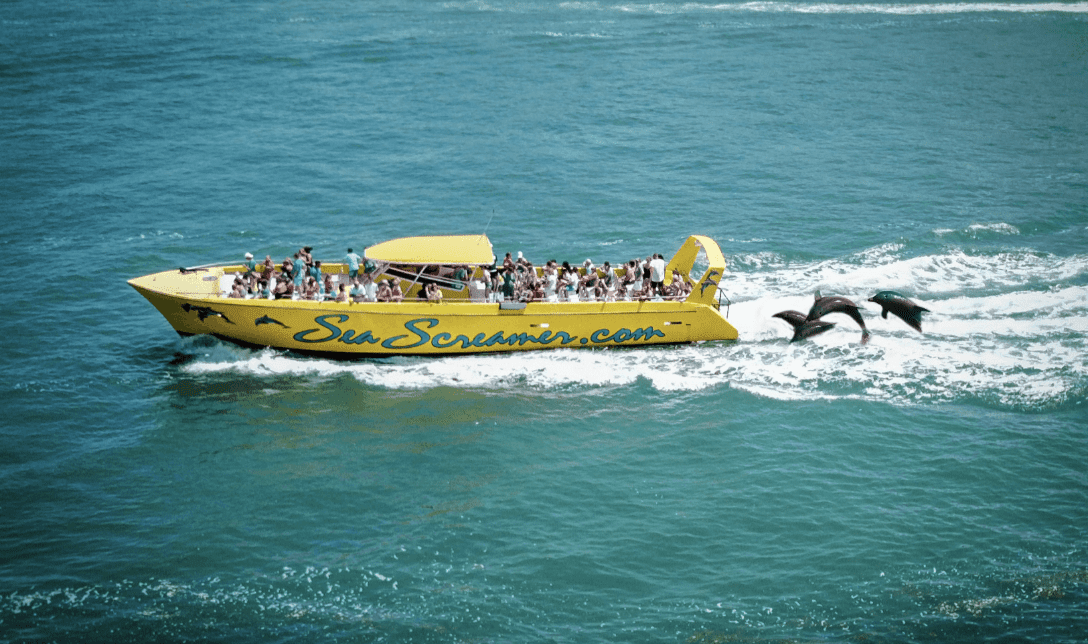 Yellow Sea Screamer boat cruising Clearwater Beach with dolphins jumping in the wake.