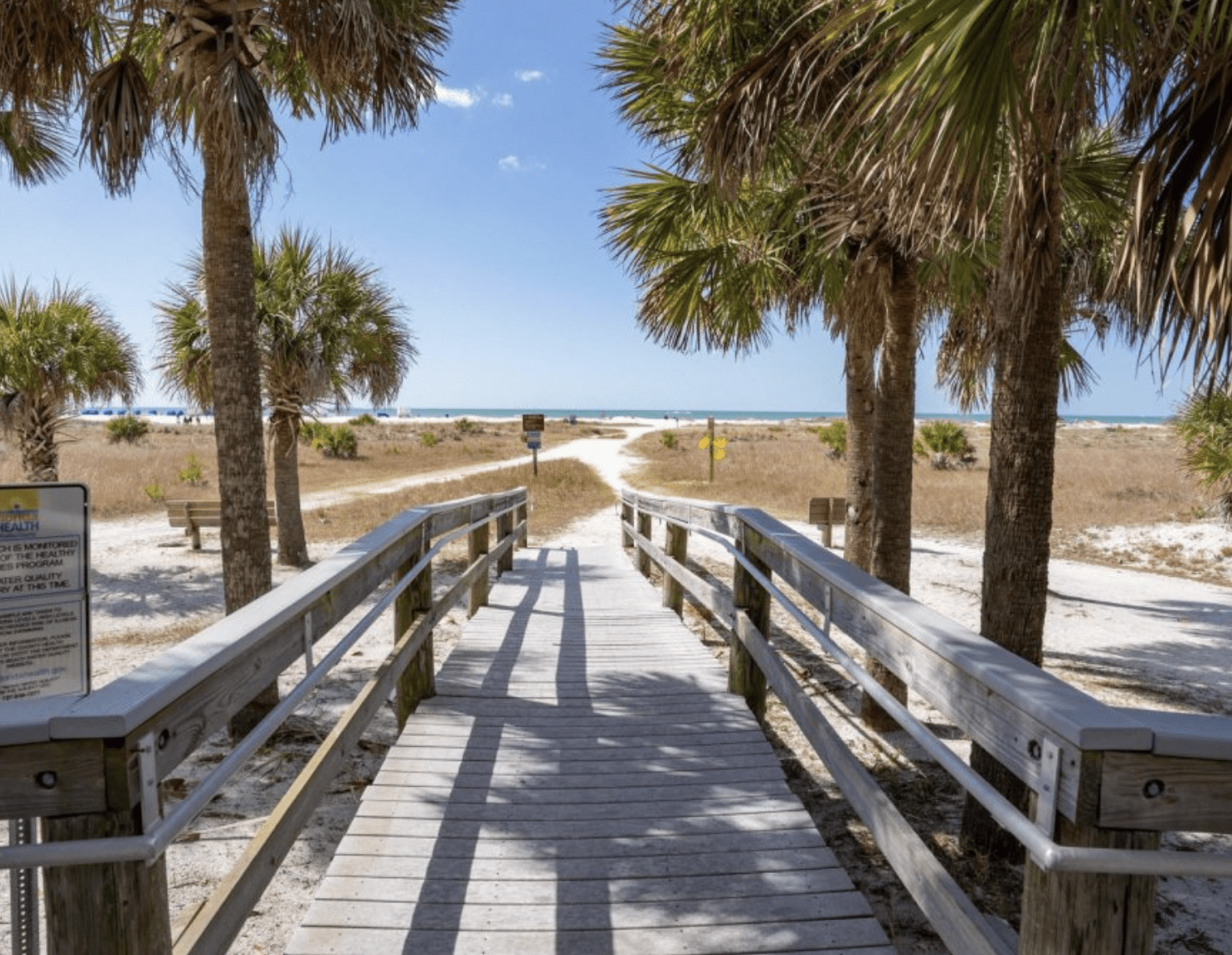 Wooden boardwalk path leading to Clearwater Beach with palm trees on both sides.