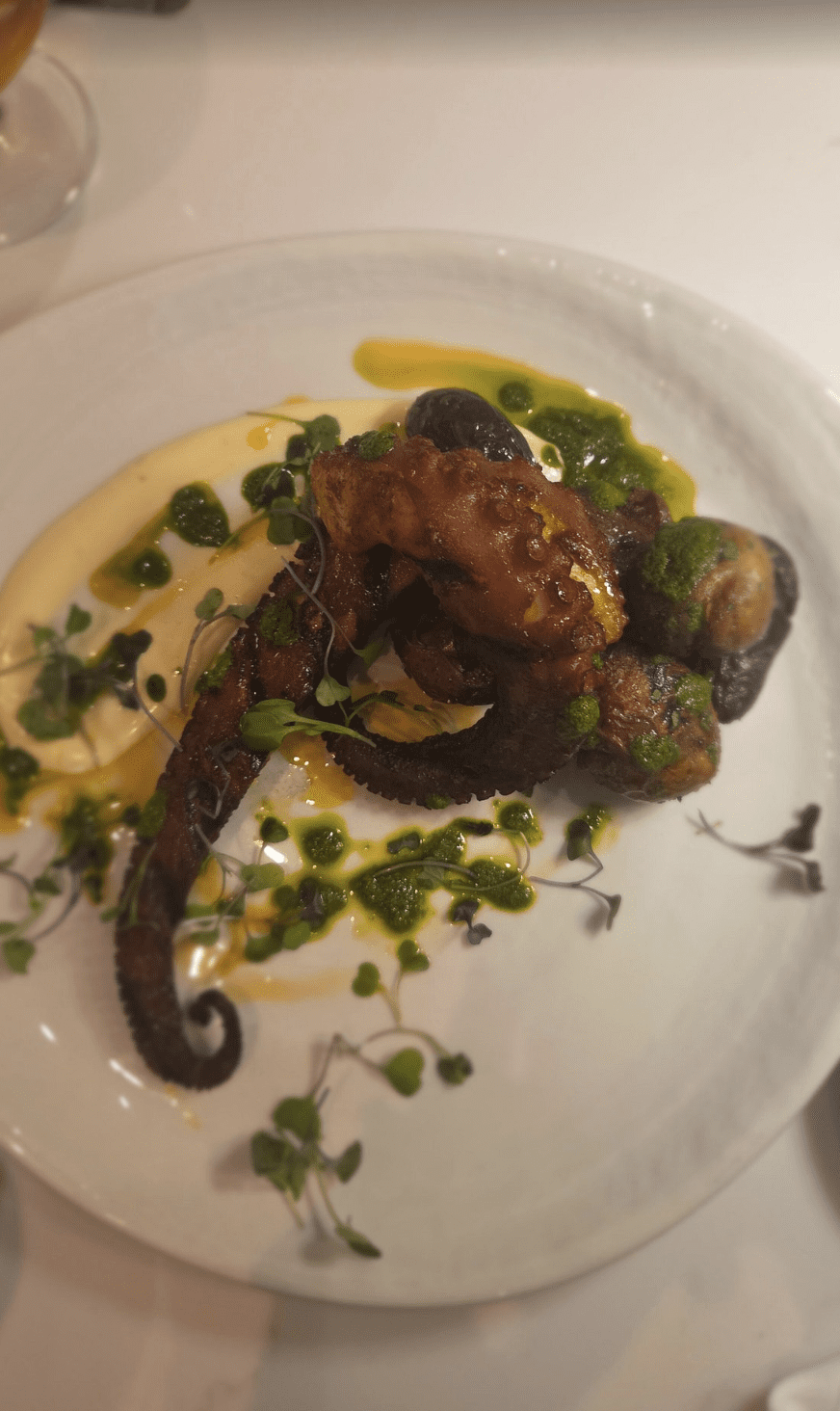 Grilled octopus with creamy puree and herbs at an Indian Rocks Beach restaurant