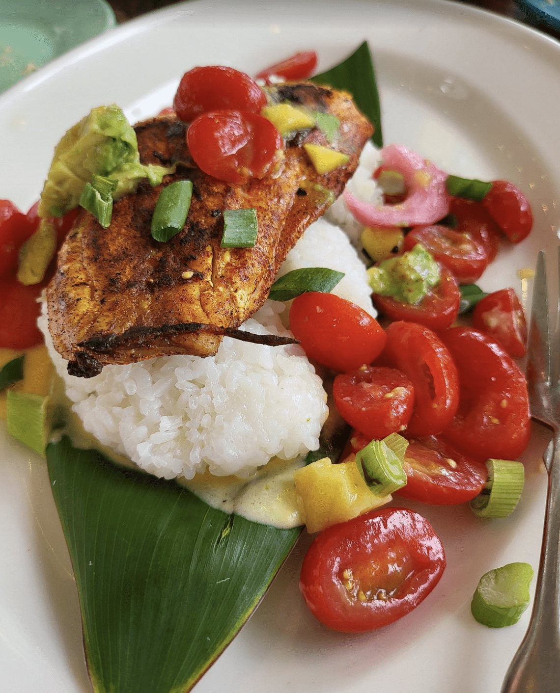 Grilled fish fillet served over rice with avocado and tomato salsa at a Clearwater Beach restaurant.
