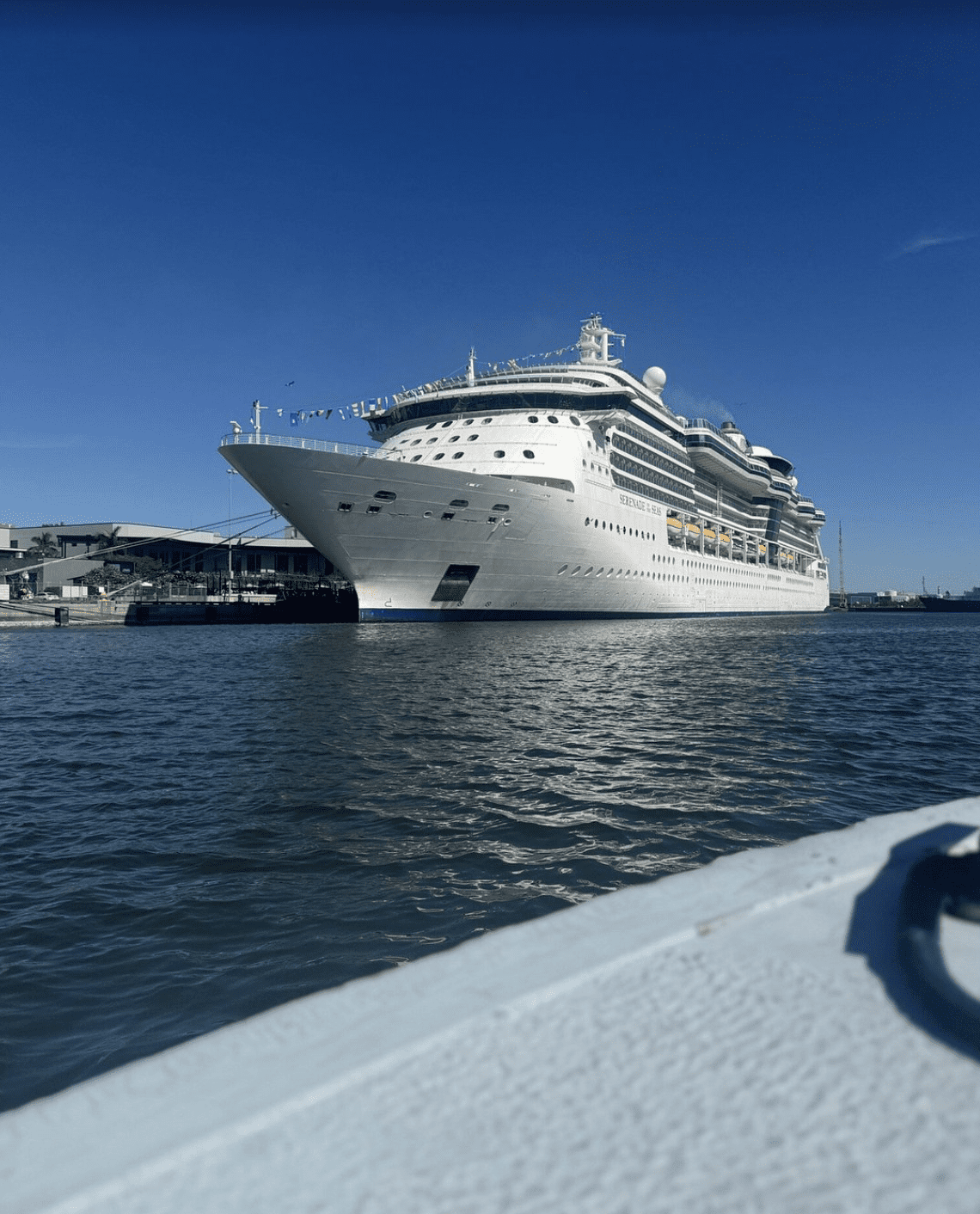 Luxury cruise ship docked at Port Tampa Bay under clear blue skies.
