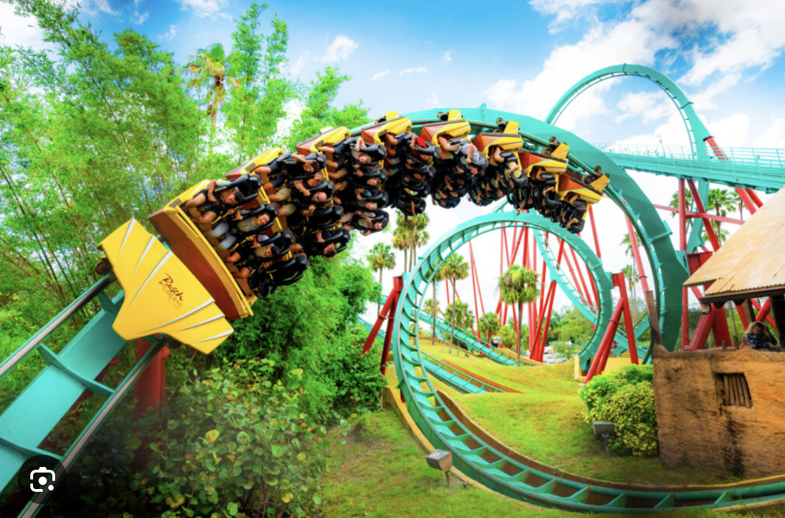Thrill ride roller coaster looping through palm trees at Busch Gardens Tampa Bay.