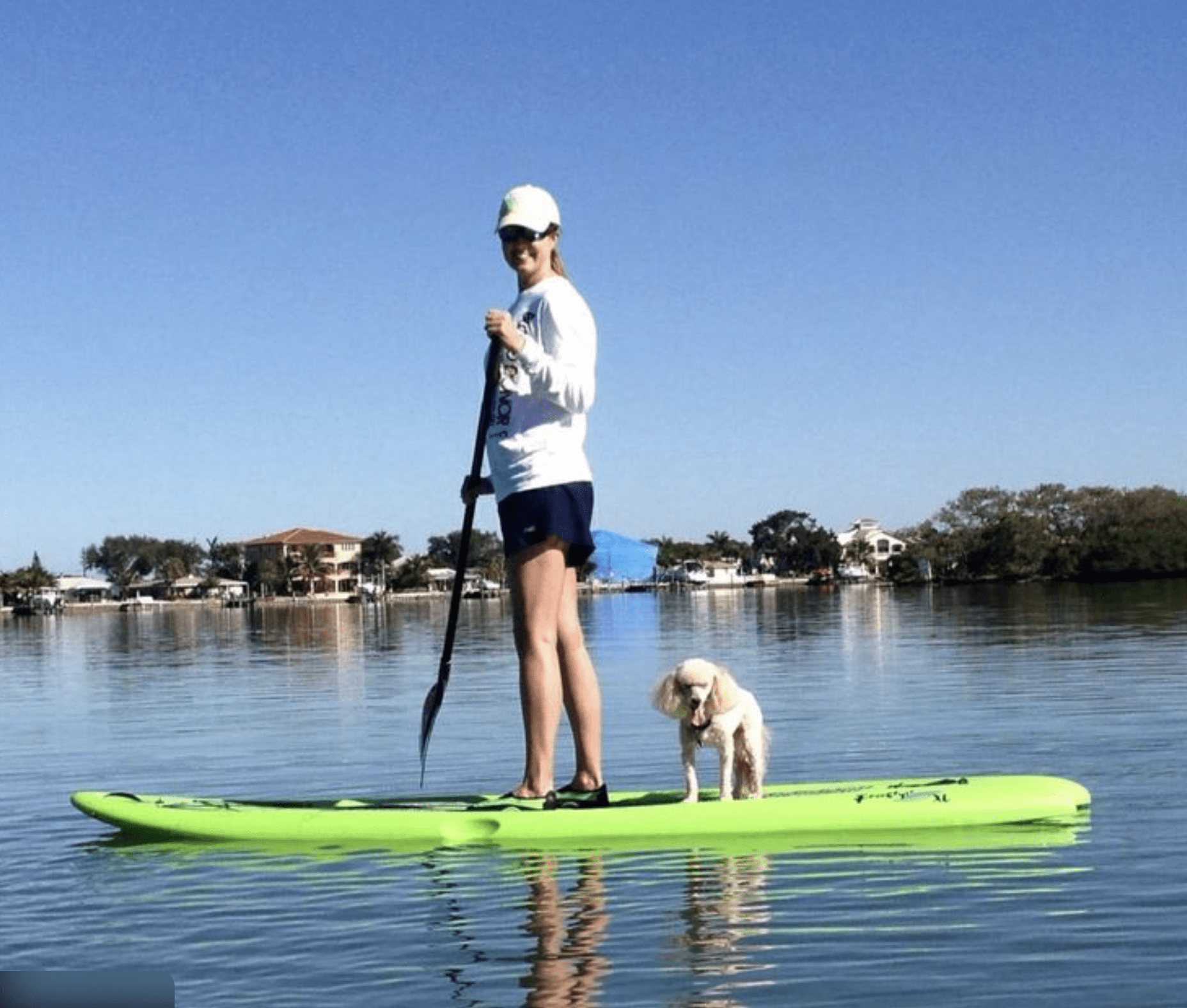 Woman paddleboarding with her dog on calm waters near Clearwater Beach, Florida.