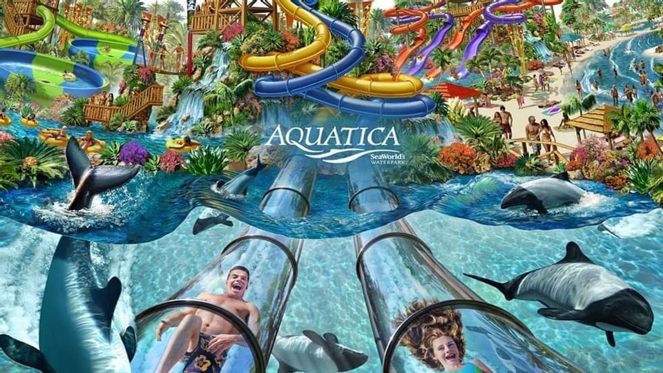 Colorful waterpark with waterslides, dolphins, and people enjoying Aquatica SeaWorld Orlando.